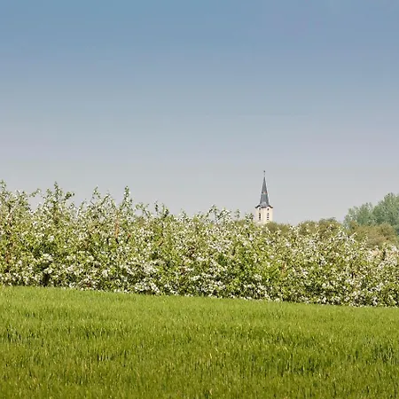 Rikkeshoeve Vakantiewoning * Aalst