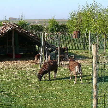 Holiday home Rikkeshoeve Vakantiewoning *